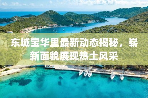東城寶華里最新動態(tài)揭秘，嶄新面貌展現(xiàn)熱土風(fēng)采