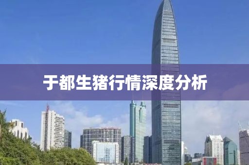 于都生豬行情深度分析