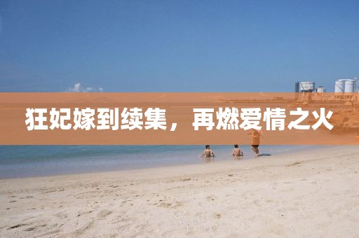 狂妃嫁到續(xù)集，再燃愛情之火