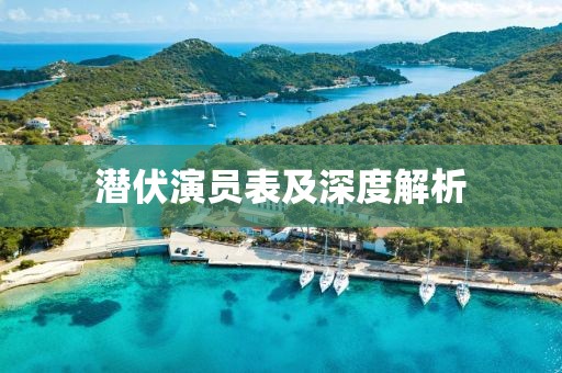 潛伏演員表及深度解析