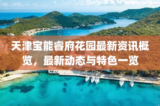 天津?qū)毮茴８▓@最新資訊概覽，最新動態(tài)與特色一覽