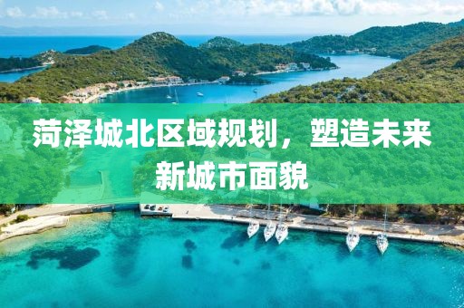 菏澤城北區(qū)域規(guī)劃，塑造未來新城市面貌