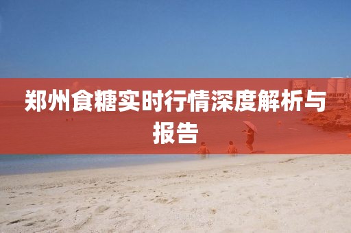鄭州食糖實時行情深度解析與報告