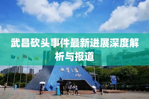 武昌砍頭事件最新進(jìn)展深度解析與報道