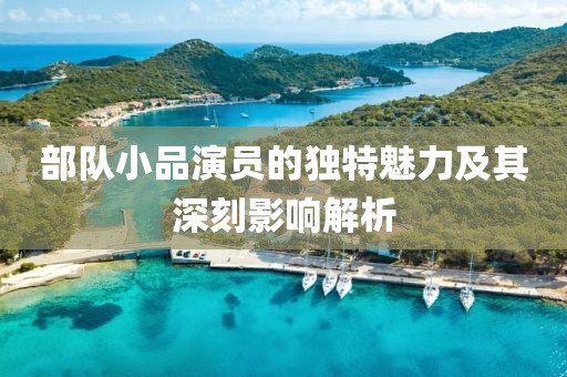 部隊(duì)小品演員的獨(dú)特魅力及其深刻影響解析