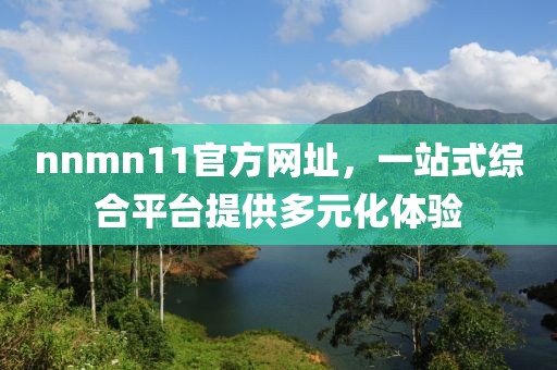 nnmn11官方網(wǎng)址，一站式綜合平臺(tái)提供多元化體驗(yàn)
