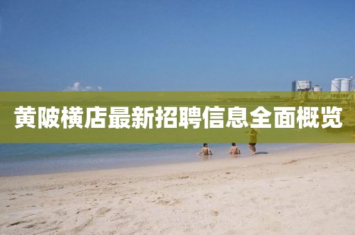 黃陂橫店最新招聘信息全面概覽
