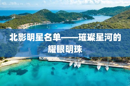 北影明星名單——璀璨星河的耀眼明珠