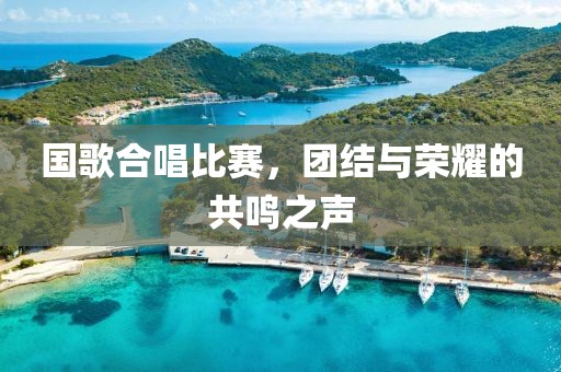 國歌合唱比賽，團(tuán)結(jié)與榮耀的共鳴之聲
