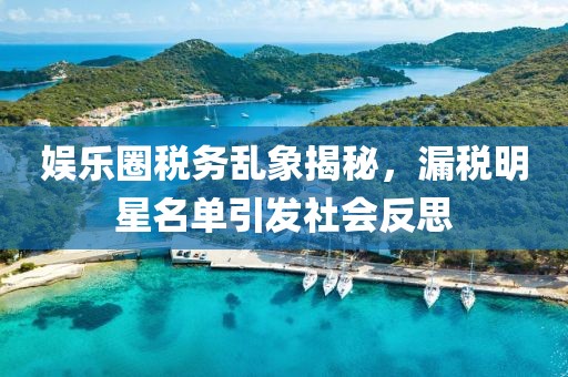 娛樂圈稅務(wù)亂象揭秘，漏稅明星名單引發(fā)社會反思