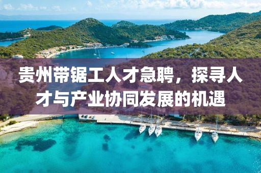 貴州帶鋸工人才急聘，探尋人才與產(chǎn)業(yè)協(xié)同發(fā)展的機遇