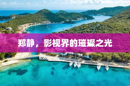 鄭靜，影視界的璀璨之光