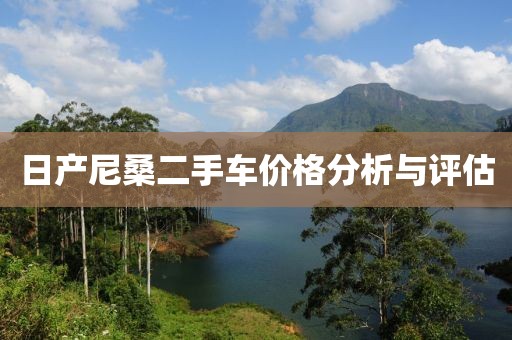 日產(chǎn)尼桑二手車價格分析與評估