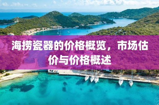 海撈瓷器的價(jià)格概覽，市場(chǎng)估價(jià)與價(jià)格概述