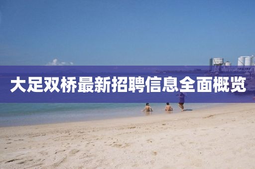 大足雙橋最新招聘信息全面概覽