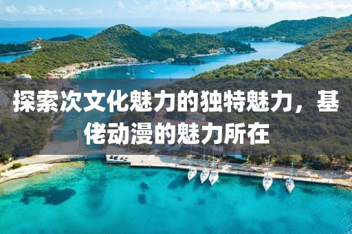 探索次文化魅力的獨(dú)特魅力，基佬動(dòng)漫的魅力所在