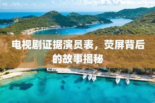電視劇證據(jù)演員表，熒屏背后的故事揭秘