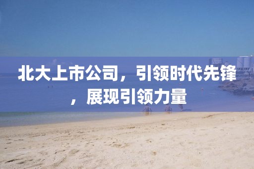 北大上市公司，引領(lǐng)時(shí)代先鋒，展現(xiàn)引領(lǐng)力量