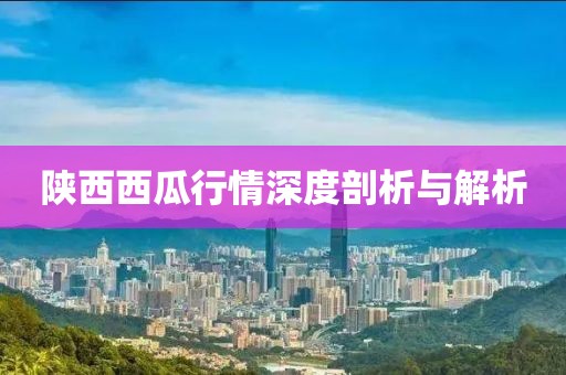 陜西西瓜行情深度剖析與解析