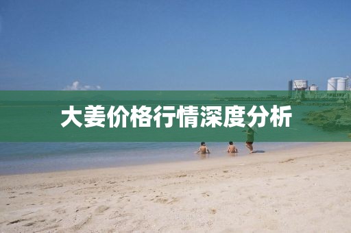 大姜價(jià)格行情深度分析