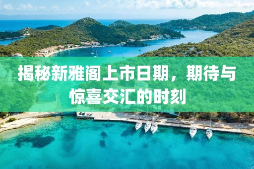 揭秘新雅閣上市日期，期待與驚喜交匯的時(shí)刻