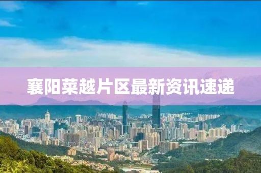 襄陽菜越片區(qū)最新資訊速遞