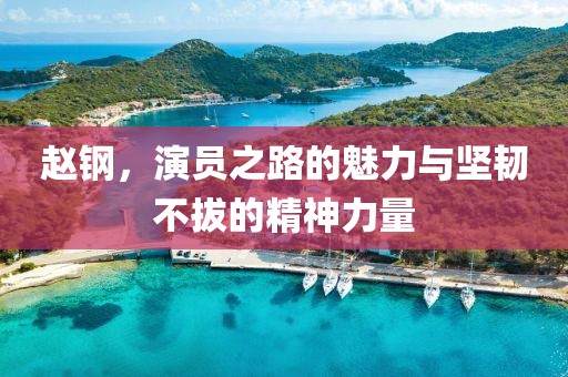 趙鋼，演員之路的魅力與堅(jiān)韌不拔的精神力量