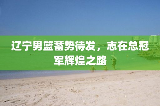 遼寧男籃蓄勢(shì)待發(fā)，志在總冠軍輝煌之路