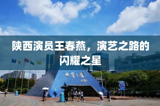 陜西演員王春燕，演藝之路的閃耀之星