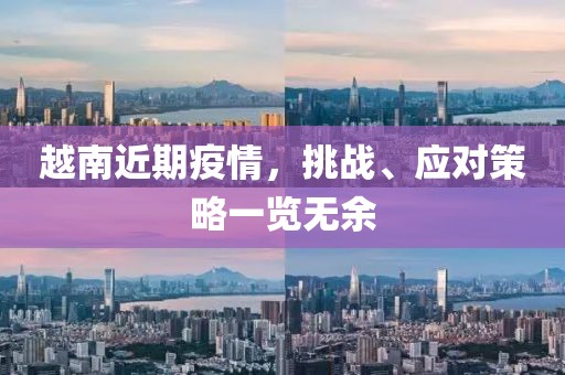 越南近期疫情，挑戰(zhàn)、應對策略一覽無余