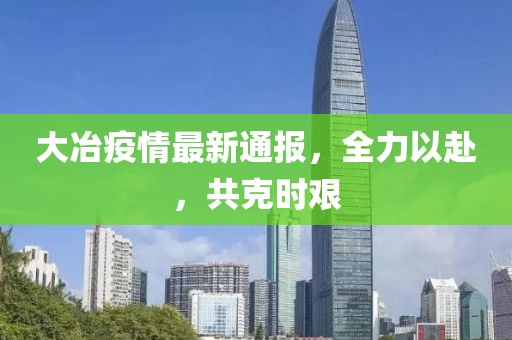 大冶疫情最新通報(bào)，全力以赴，共克時(shí)艱