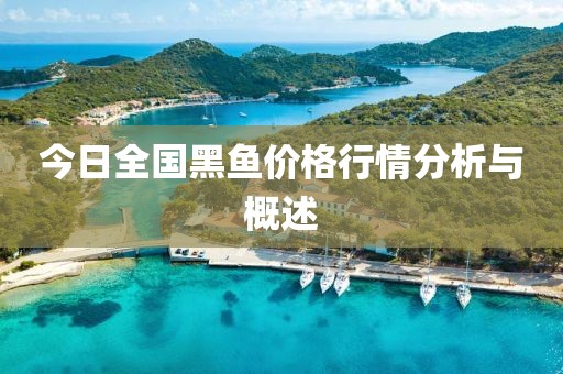 今日全國黑魚價格行情分析與概述