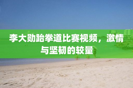 李大勛跆拳道比賽視頻，激情與堅(jiān)韌的較量