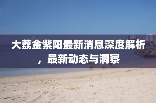 大荔金紫陽最新消息深度解析，最新動態(tài)與洞察