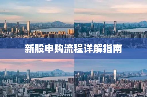 新股申購流程詳解指南