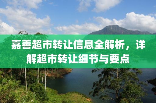 嘉善超市轉(zhuǎn)讓信息全解析，詳解超市轉(zhuǎn)讓細(xì)節(jié)與要點