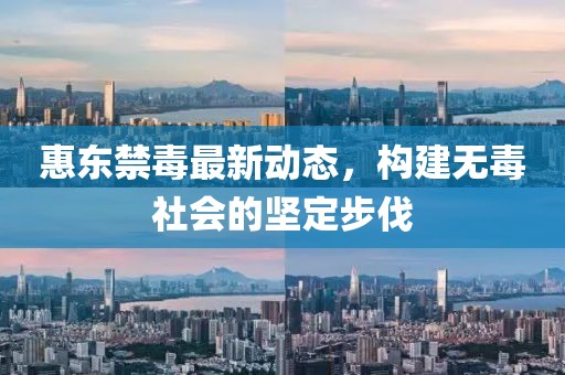 惠東禁毒最新動(dòng)態(tài)，構(gòu)建無毒社會(huì)的堅(jiān)定步伐