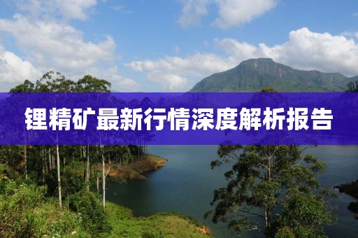 鋰精礦最新行情深度解析報告