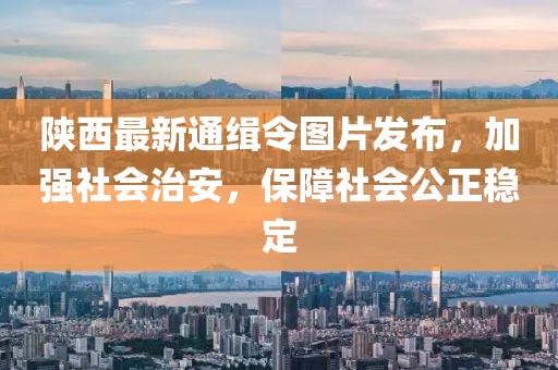 陜西最新通緝令圖片發(fā)布，加強(qiáng)社會(huì)治安，保障社會(huì)公正穩(wěn)定