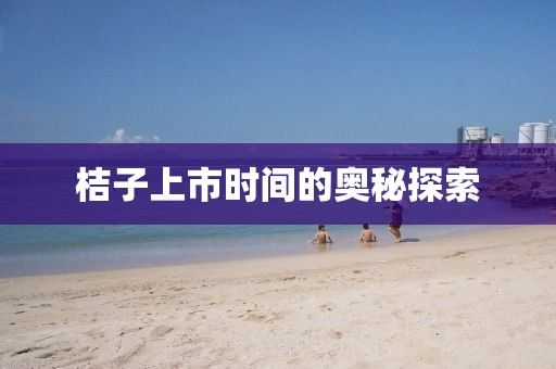 桔子上市時間的奧秘探索
