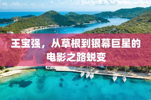 王寶強(qiáng)，從草根到銀幕巨星的電影之路蛻變