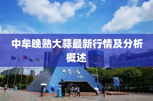 中牟晚熟大蒜最新行情及分析概述