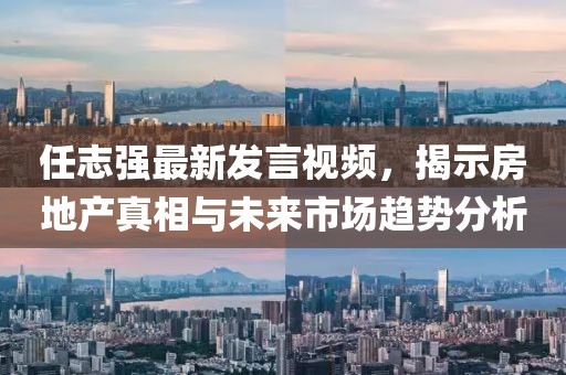 任志強最新發(fā)言視頻，揭示房地產真相與未來市場趨勢分析