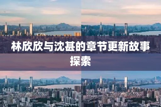 林欣欣與沈甚的章節(jié)更新故事探索