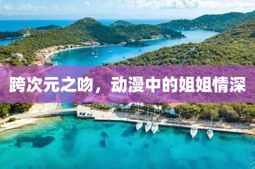 跨次元之吻，動(dòng)漫中的姐姐情深