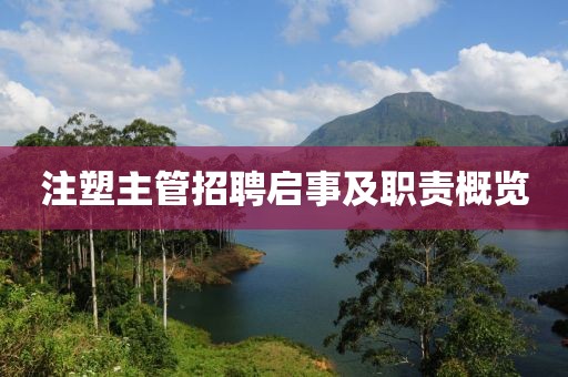 注塑主管招聘啟事及職責(zé)概覽