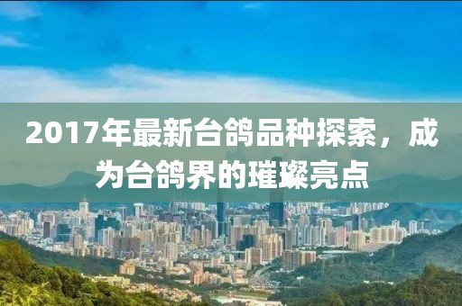 2017年最新臺(tái)鴿品種探索，成為臺(tái)鴿界的璀璨亮點(diǎn)