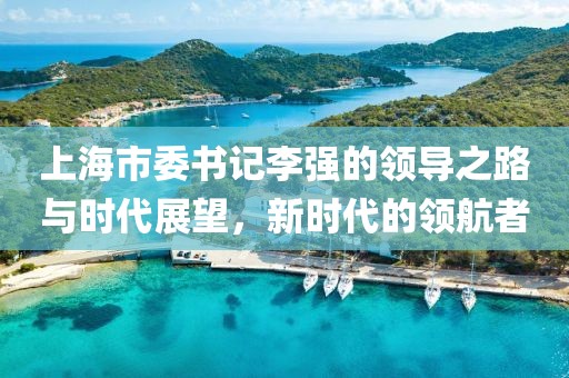 上海市委書(shū)記李強(qiáng)的領(lǐng)導(dǎo)之路與時(shí)代展望，新時(shí)代的領(lǐng)航者