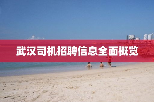 武漢司機(jī)招聘信息全面概覽