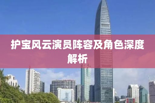 護(hù)寶風(fēng)云演員陣容及角色深度解析